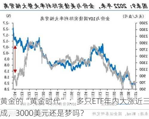 黄金的“黄金时代” ：多只ETF年内大涨近三成，3000美元还是梦吗？