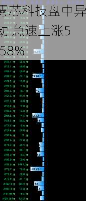 雾芯科技盘中异动 急速上涨5.58%