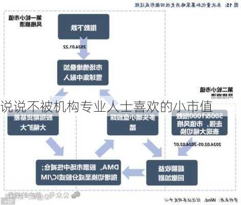 说说不被机构专业人士喜欢的小市值