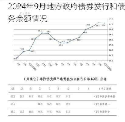 2024年9月地方政府债券发行和债务余额情况