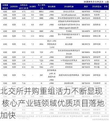 北交所并购重组活力不断显现  核心产业链领域优质项目落地加快