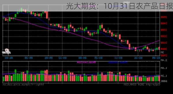 光大期货：10月31日农产品日报