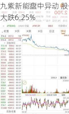 九紫新能盘中异动 股价大跌6.25%