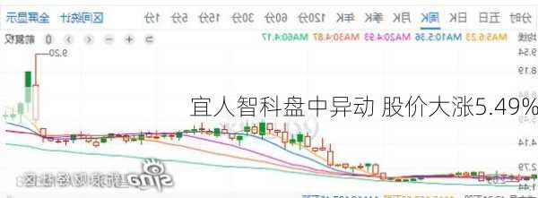 宜人智科盘中异动 股价大涨5.49%