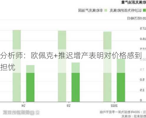 分析师：欧佩克+推迟增产表明对价格感到担忧