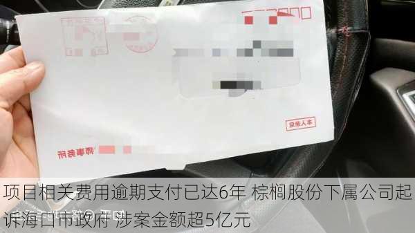 项目相关费用逾期支付已达6年 棕榈股份下属公司起诉海口市政府 涉案金额超5亿元