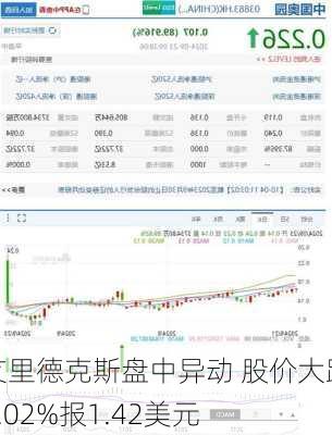 艾里德克斯盘中异动 股价大跌5.02%报1.42美元