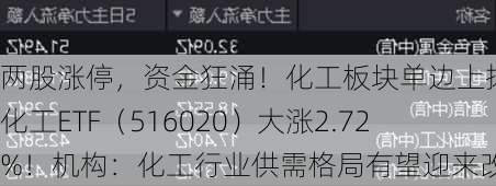 两股涨停，资金狂涌！化工板块单边上扬，化工ETF（516020）大涨2.72%！机构：化工行业供需格局有望迎来改善