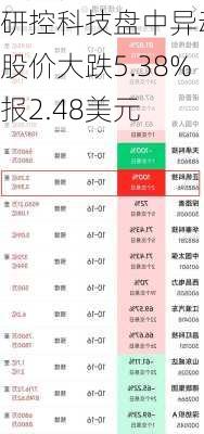 研控科技盘中异动 股价大跌5.38%报2.48美元