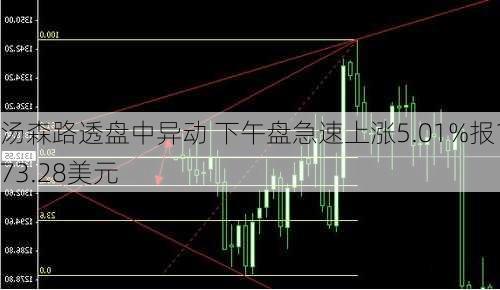 汤森路透盘中异动 下午盘急速上涨5.01%报173.28美元