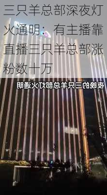 三只羊总部深夜灯火通明：有主播靠直播三只羊总部涨粉数十万