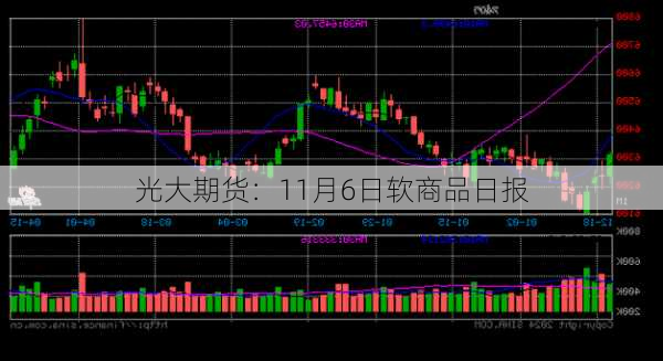 光大期货：11月6日软商品日报