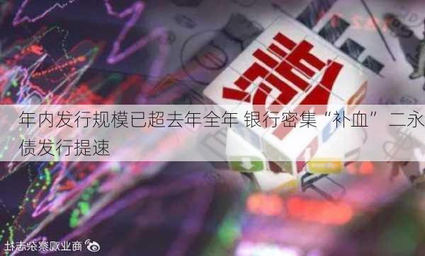 年内发行规模已超去年全年 银行密集“补血” 二永债发行提速