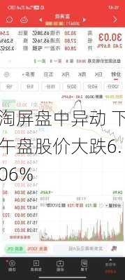 淘屏盘中异动 下午盘股价大跌6.06%