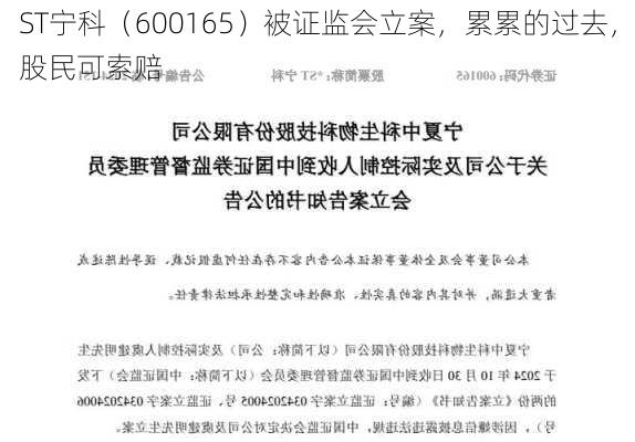 ST宁科（600165）被证监会立案，累累的过去，股民可索赔