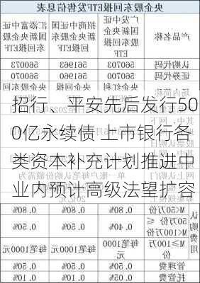 招行、平安先后发行500亿永续债 上市银行各类资本补充计划推进中 业内预计高级法望扩容