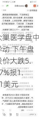 众巢医学盘中异动 下午盘股价大跌5.47%报1.21美元