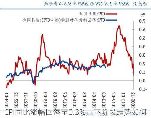 CPI同比涨幅回落至0.3%，下阶段走势如何