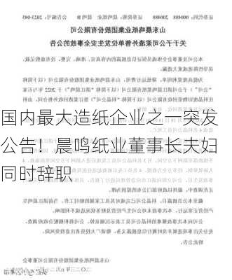 国内最大造纸企业之一突发公告！晨鸣纸业董事长夫妇同时辞职