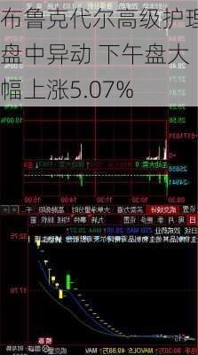 布鲁克代尔高级护理盘中异动 下午盘大幅上涨5.07%