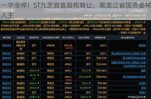 一字涨停！ST九芝官宣股权转让，黑龙江省国资委将入主