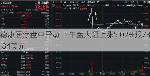 德康医疗盘中异动 下午盘大幅上涨5.02%报73.84美元