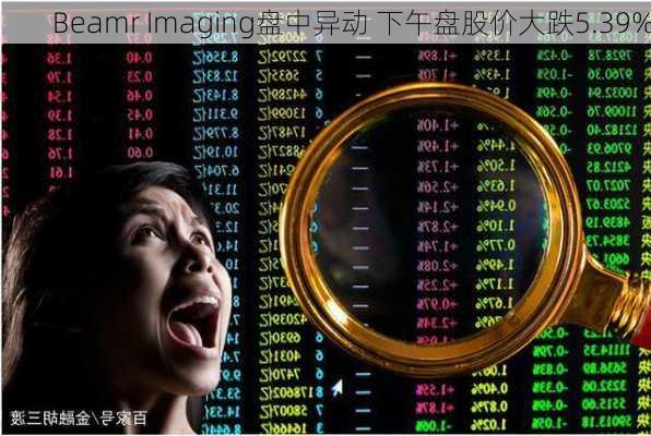 Beamr Imaging盘中异动 下午盘股价大跌5.39%