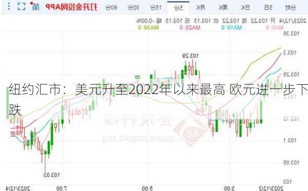 纽约汇市：美元升至2022年以来最高 欧元进一步下跌