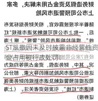 ST凯撒因未及时披露非经营性资金占用被行政处罚！