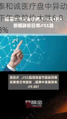 泰和诚医疗盘中异动 下午盘股价大跌6.88%