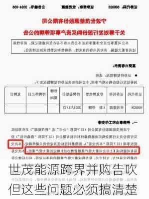 世茂能源跨界并购告吹 但这些问题必须搞清楚