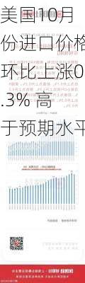 美国10月份进口价格环比上涨0.3% 高于预期水平