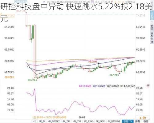 研控科技盘中异动 快速跳水5.22%报2.18美元