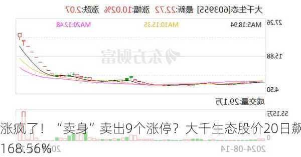 涨疯了！“卖身”卖出9个涨停？大千生态股价20日飙升168.56%