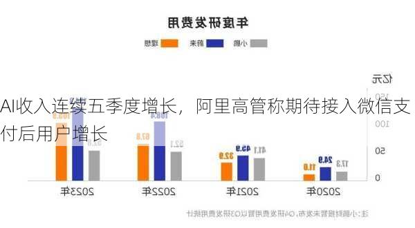 AI收入连续五季度增长，阿里高管称期待接入微信支付后用户增长