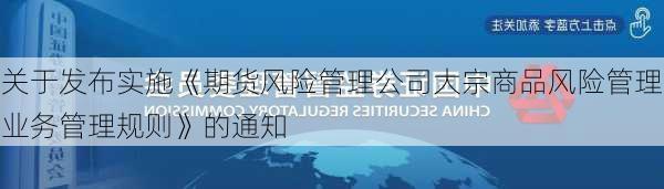 关于发布实施《期货风险管理公司大宗商品风险管理业务管理规则》的通知