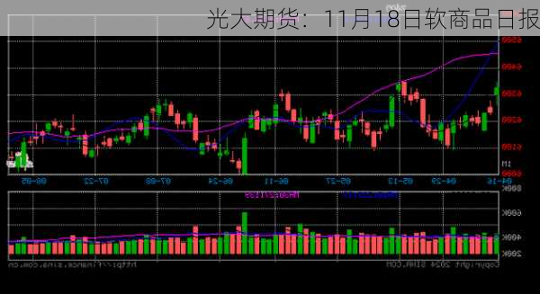 光大期货：11月18日软商品日报