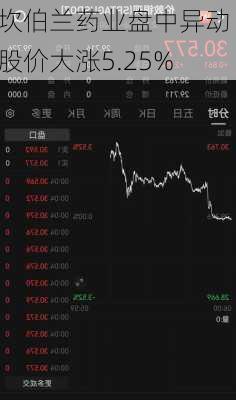 坎伯兰药业盘中异动 股价大涨5.25%