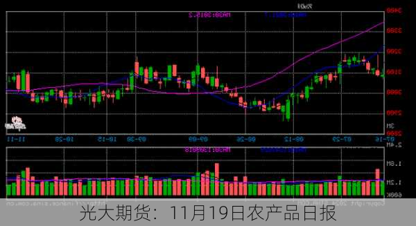 光大期货：11月19日农产品日报