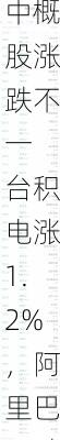 周二热门中概股涨跌不一 台积电涨1.2%，阿里巴巴跌2.5%