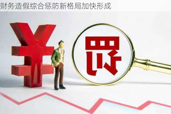 财务造假综合惩防新格局加快形成