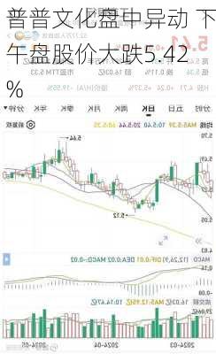 普普文化盘中异动 下午盘股价大跌5.42%