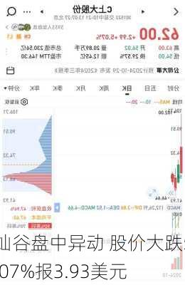 灿谷盘中异动 股价大跌5.07%报3.93美元