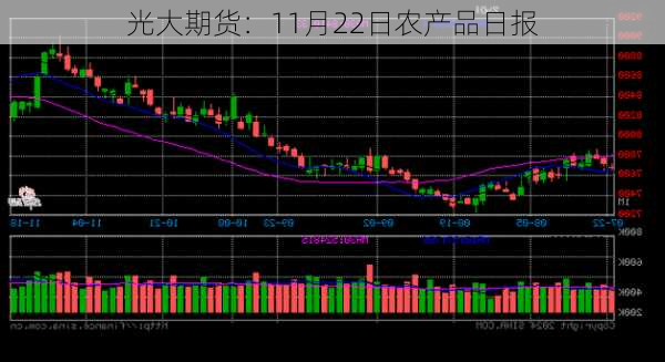 光大期货：11月22日农产品日报