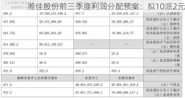 湘佳股份前三季度利润分配预案：拟10派2元