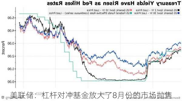 美联储：杠杆对冲基金放大了8月份的市场抛售