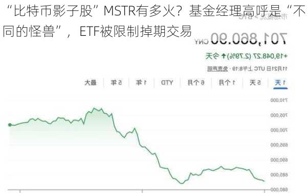 “比特币影子股”MSTR有多火？基金经理高呼是“不同的怪兽”，ETF被限制掉期交易