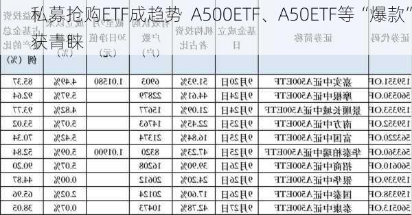 私募抢购ETF成趋势  A500ETF、A50ETF等“爆款”获青睐