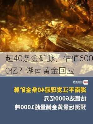 超40条金矿脉，估值6000亿？湖南黄金回应