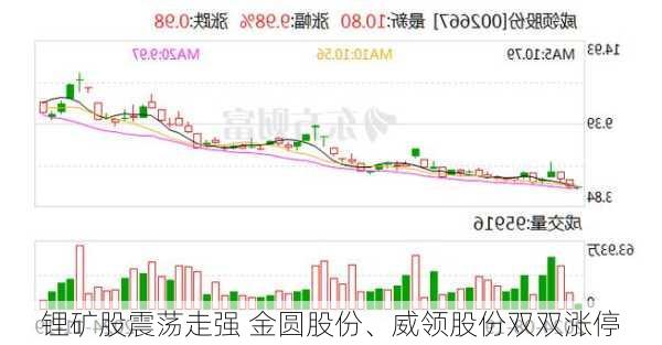 锂矿股震荡走强 金圆股份、威领股份双双涨停